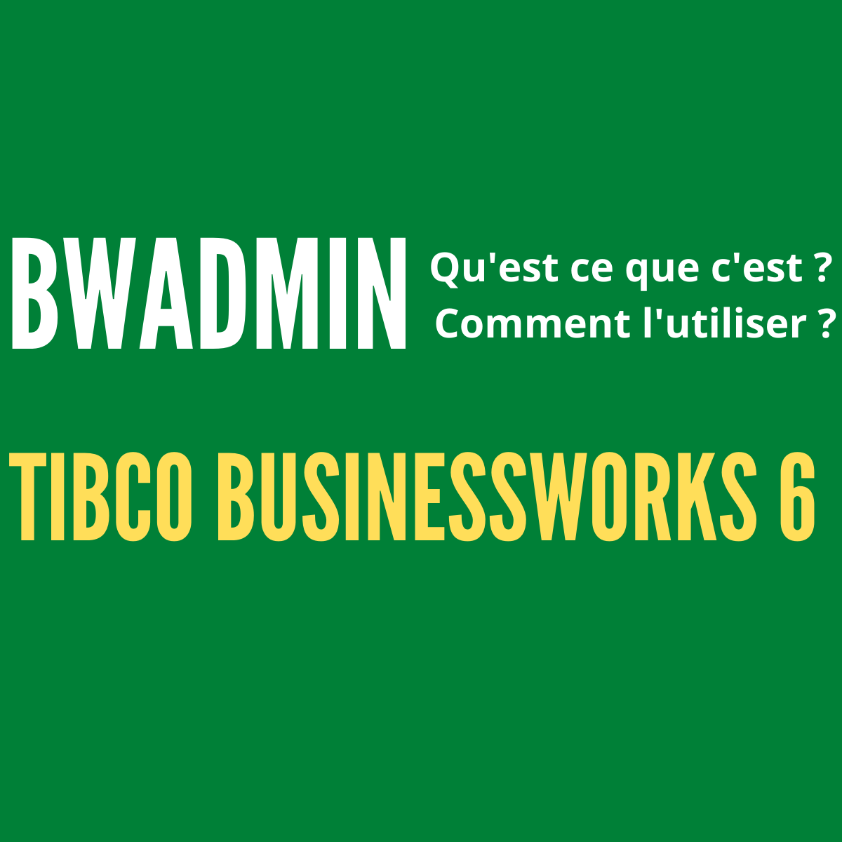 tibco-bwadmin-tibco-businessworks-bw-6-miaffo-net