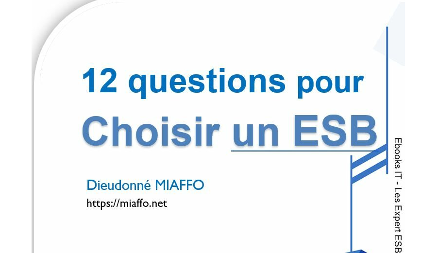 Ebooks -12 questions pour Choisir un ESB de Dieudonné MIAFFO