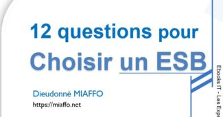 miaffo.net - 12 questions à se poser pour choisir un ESB