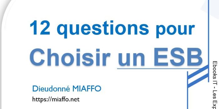 miaffo.net - 12 questions à se poser pour choisir un ESB